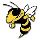 Hanover Park High School logo