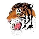 Bluffton High School logo