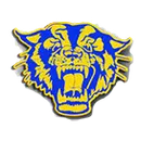 Raymondville High School logo