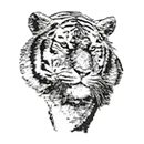 Jefferson West High School logo