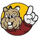 Chatfield High School logo