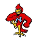 Newman Catholic High School logo