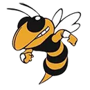 Harmony Grove High School - Camden logo