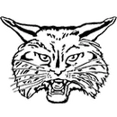 Brandywine High School logo