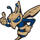 Essex High School logo