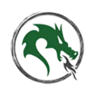 Pine City High School logo