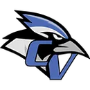 Conemaugh Valley High School logo