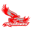 Vallejo High School logo