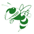 Lake High School logo