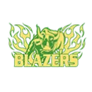 I D E A Quest College Preparatory logo
