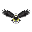 Fairview High School logo