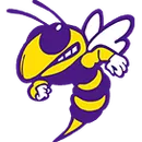 New Athens High School logo