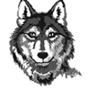 Wisconsin Valley Lutheran High School logo
