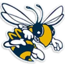 Freeport Area Senior High School logo