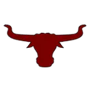 Johnson County High School logo