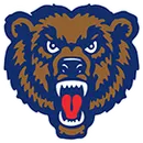 Danville High School logo