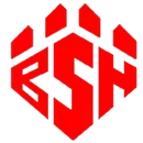 Boiling Springs High School logo