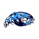 China Spring logo