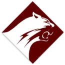 Altoona Area High School logo