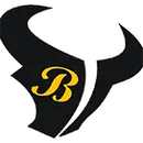Brashear High School logo