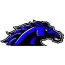 Wishek High School logo