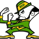 Dublin High School logo