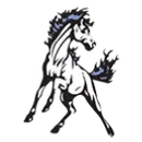Cairo-Durham Senior High School logo