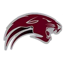 Norfolk High School logo