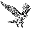 Chief Paul Memorial High School logo