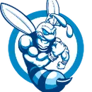 Hillside High School logo