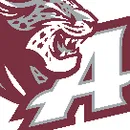 Appoquinimink High School logo