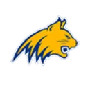 Medina High School logo