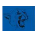 North Penn High School logo