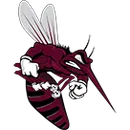 Mesquite High School logo