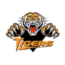 Mexico High School logo