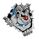 Amherst High School logo