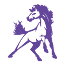Benjamin High School logo