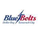 Dollar Bay High School logo