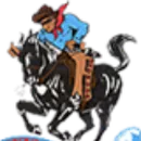 Skyline High School logo