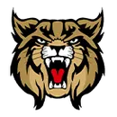 Brookings High School logo