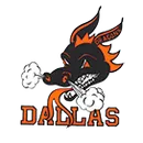 Dallas High School logo
