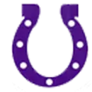 Bethany High School logo