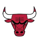 Chicago Bulls Academy logo