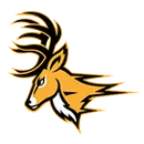 Round Valley High School logo