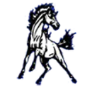 Floyd High School logo