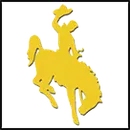 Custer County High School logo