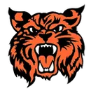 Saline High School logo