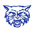 Dallastown Area High School logo