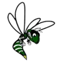 Williamston High School logo