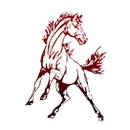 Shenandoah High School logo